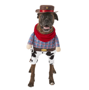 Frisco Front Walking Cowboy Dog & Cat Costume